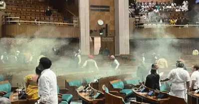 ലോക്സഭയിൽ കളർ സ്മോക്കുകളുമായെത്തി പ്രതിഷേധിച്ച സംഭവം; രണ്ട് പ്രതികൾക്ക് ജാമ്യം