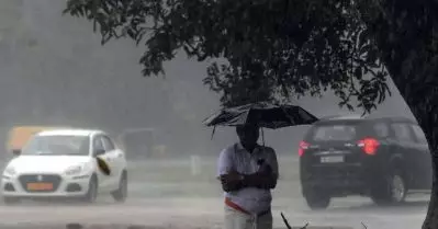 സംസ്ഥാനത്ത് പരക്കെ മഴയ്ക്ക് സാധ്യത; ഒമ്പത് ജില്ലകളിൽ യെല്ലോ അലേർട്ട്