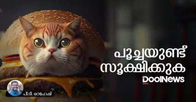 പൂച്ചയുണ്ട് സൂക്ഷിക്കുക