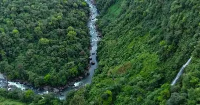 2024ല്‍ കൊല്ലപ്പെട്ടത് 146 പേര്‍; ലോകത്താകെ പരിസ്ഥിതി പ്രവര്‍ത്തകര്‍ അതിക്രമത്തിനിരയാകുന്നതായി റിപ്പോര്‍ട്ട്