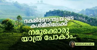 ദക്ഷിണേന്ത്യയുടെ കശ്മീരിലേക്ക് നമുക്കൊരു യാത്ര പോകാം…