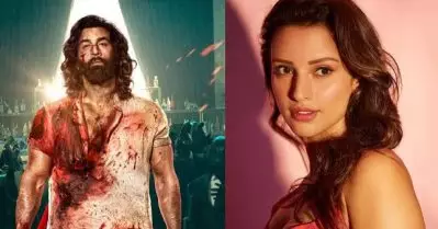 ആ സിനിമയിലൂടെ ലഭിക്കുമെന്ന വിചാരിച്ച അംഗീകാരം എനിക്ക് കിട്ടിയത് അനിമലില്‍ അഭിനയിച്ചപ്പോള്‍: തൃപ്തി ദിമ്രി