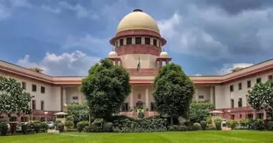 തെരുവ് നായ പ്രശ്നം; സത്യവാങ് മൂലം സമർപ്പിക്കാത്തതിൽ ചീഫ് സെക്രട്ടറിമാർക്ക് സമൻസ് അയച്ച് സുപ്രീം കോടതി