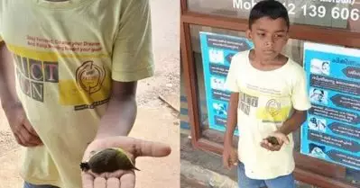 ഒരു ജീവന്റെ വിലയെന്തെന്ന് തിരിച്ചറിഞ്ഞ നിമിഷമാണ് വിദ്യാഭ്യാസത്തിന്റെ വിജയം; കിളിക്കുഞ്ഞിന്റെ ജീവന്‍ രക്ഷിക്കാനെത്തിയ വിദ്യാര്‍ത്ഥിക്ക് മന്ത്രിയുടെ അഭിനന്ദനം
