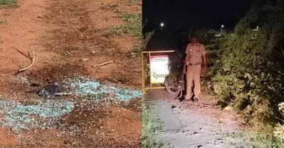 കോയമ്പത്തൂര്‍ കൂട്ടബലാത്സംഗക്കേസ്; മൂന്ന് പ്രതികളെ പിടികൂടി