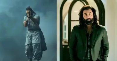 ആദ്യ ഷോ വരെ ക്യാന്‍സലായ സിനിമ, ഇപ്പോ ബോക്‌സ് ഓഫീസിന് തീയിടുന്നു, ധുരന്ധറിന്റെ അടിയില്‍ വീണത് അനിമലും പുഷ്പയും
