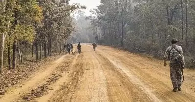 കീഴടങ്ങിയ മാവോയിസ്റ്റുകള്‍ക്കെതിരായ കേസ് പിന്‍വലിക്കാന്‍ പുനപരിശോധന; ഛത്തീസ്ഗഡില്‍ മന്ത്രിസഭാ ഉപസമിതി