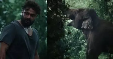 വി. എഫ്.എക്‌സ് ഇല്ലാത്ത ഒറിജിനല്‍ ആന; കട്ട ആക്ഷന്‍ പടം, കാട്ടാളന്റെ ടീസര്‍ പുറത്ത്