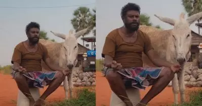 ഡ്യൂഡ് ആ കഴുതയെ സ്നേഹിച്ചപോലെ മറ്റാരെയും സ്നേഹിച്ചിട്ടില്ല, അതിന് വേണ്ടി എന്ത് ചെയ്യാനും മടിക്കില്ല