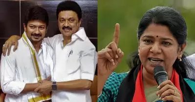ഉദയനിധിക്ക് ഭീഷണിയായതിനാല്‍ കനിമൊഴിയെ ഡി.എം.കെ ഒതുക്കി; കടന്നാക്രമിച്ച് സീമാന്‍