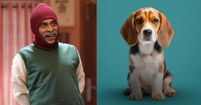 ഈ പട്ടിക്ക് കൊടുക്കുന്ന വിലയെങ്കിലും എനിക്ക് തന്ന് കൂടെ; നീ എന്റെ രോമത്തിൽ തൊടൂല…; ഗോവിന്ദരാജയെ ചർച്ചയാക്കി സോഷ്യൽ മീഡിയ