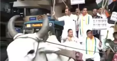 ജനങ്ങളെ കാളവണ്ടിയിലെത്തിച്ചു; ദല്‍ഹിയില്‍ കാളവണ്ടി പ്രതിഷേധവുമായി കോണ്‍ഗ്രസ്